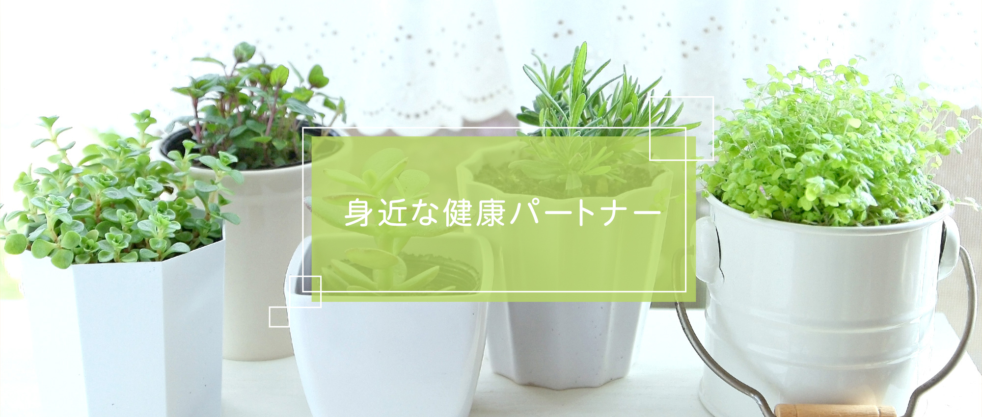 坂戸市日の出町、坂戸駅、調剤薬局